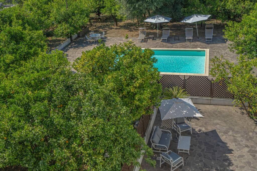 Apartament Casa Gege', For Up To 5 Guests, Shared Pool, Sorrento Center Zewnętrze zdjęcie